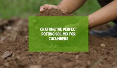 Crafting the Perfect Potting Soil Mix for Cucumbers