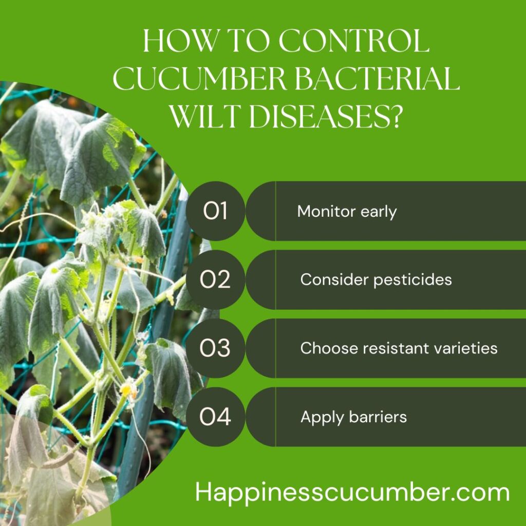 How to Control Cucumber Bacterial Wilt Diseases?