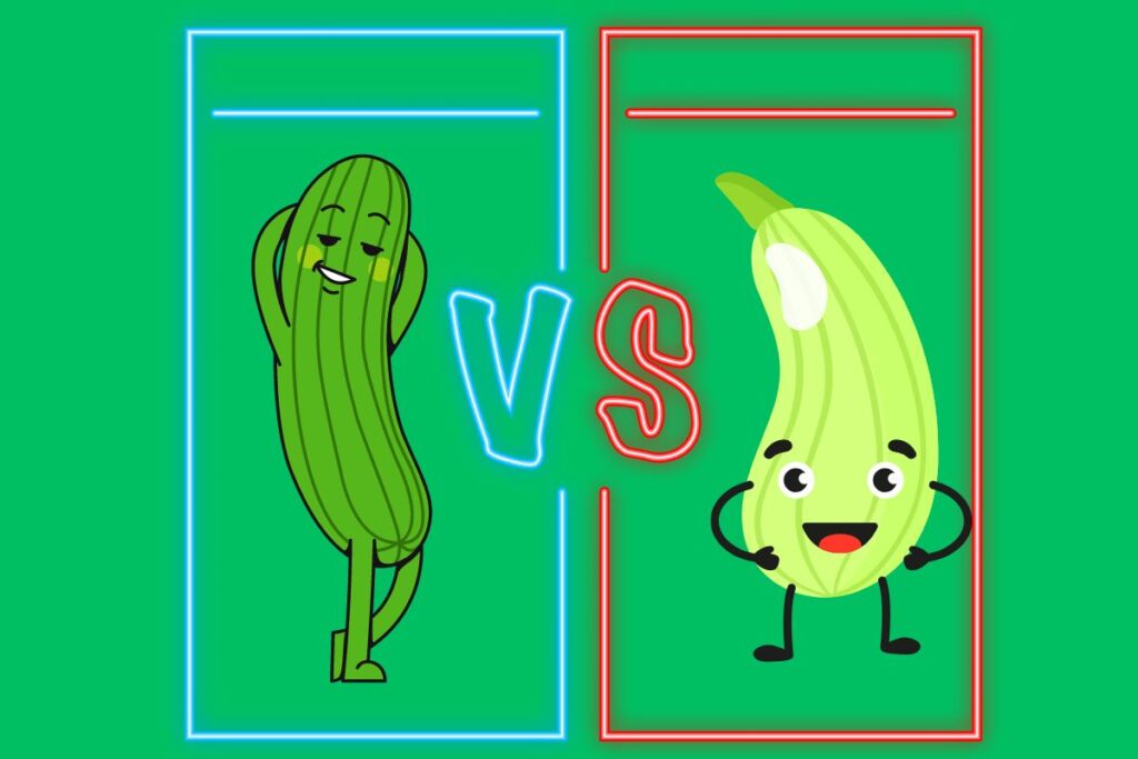 Cucumber Vs Zucchini

What’s the Difference?