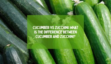 Cucumber vs Zucchini What is the Difference