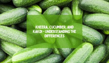 Kheera, Cucumber, and Kakdi - Understanding the Differences