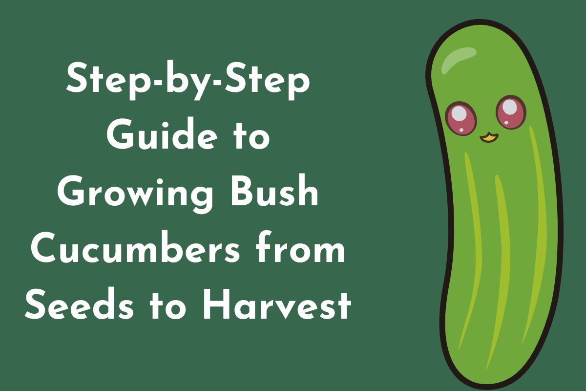 Bush Cucumbers The Complete Guide to Growing and Enjoying Different