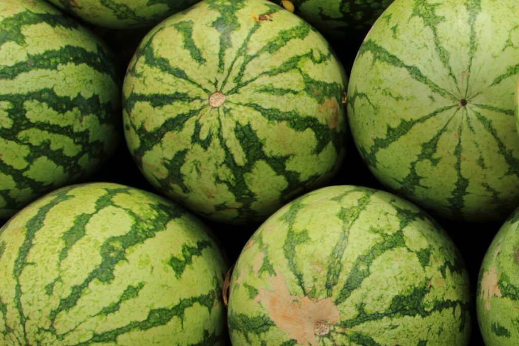 Watermelon looks like a cucumber