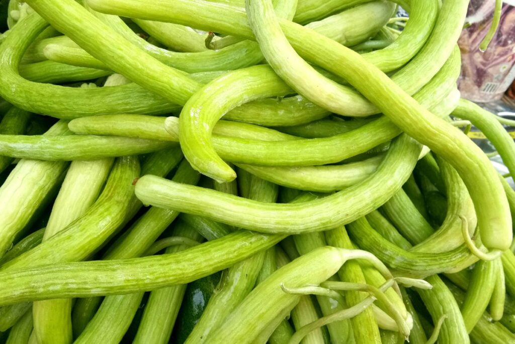 kakdi - kakri - armenian cucumber