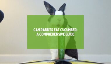 Can Rabbits Eat Cucumber A Comprehensive Guide