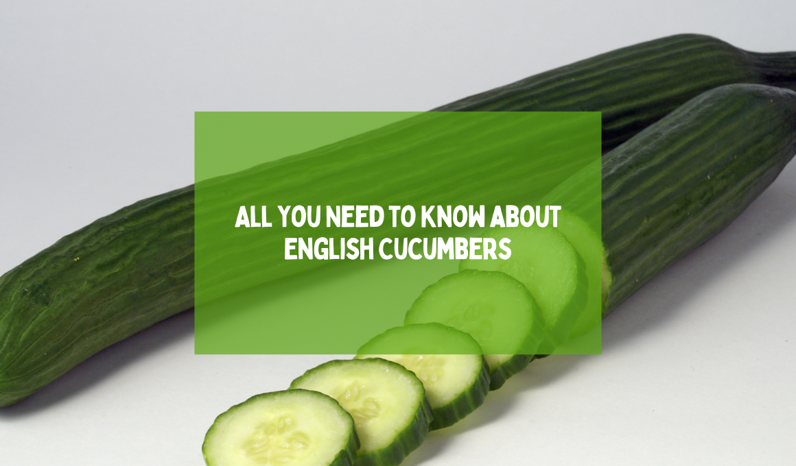 All You Need to Know About English Cucumbers - Happiness Cucumber