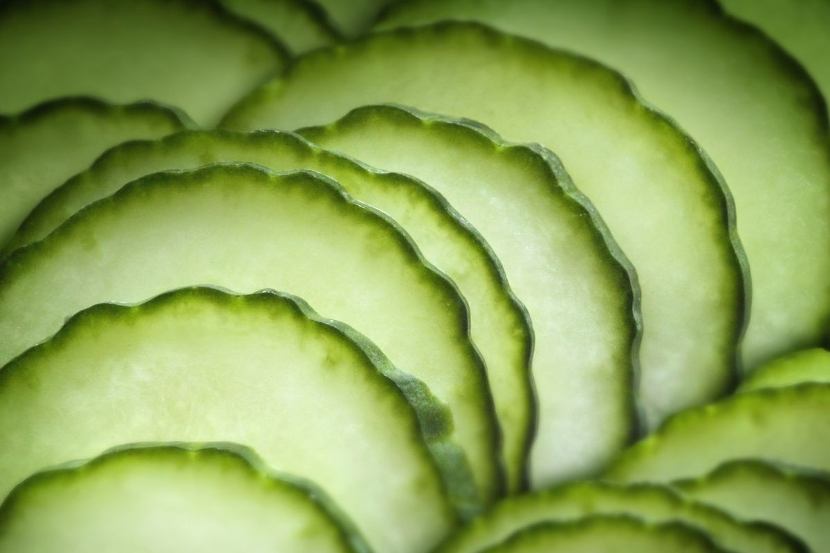 What Are Seedless Cucumbers? Characteristics and Growing Techniques