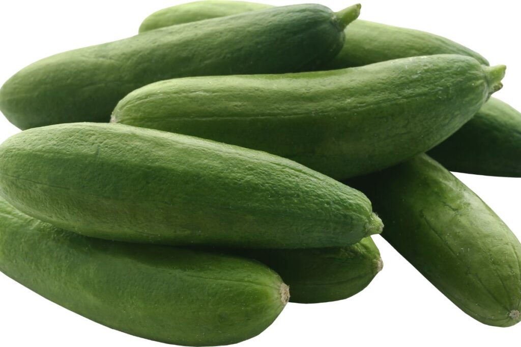 What are baby cucumbers