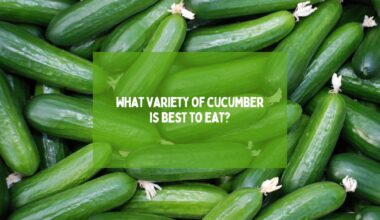 What variety of cucumber is best to eat