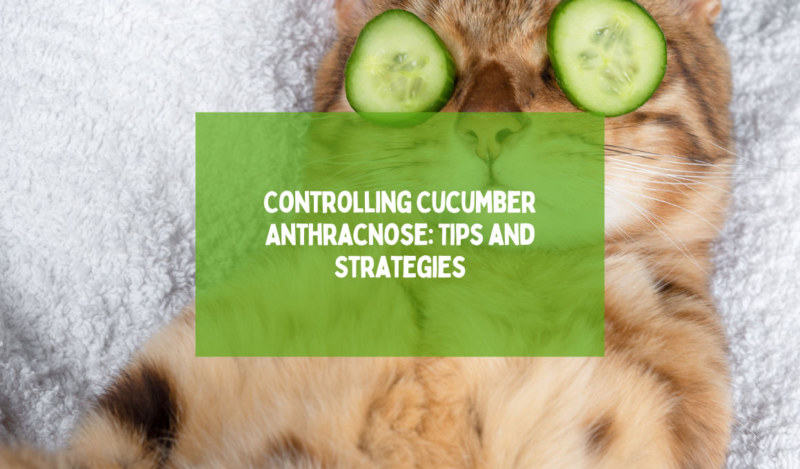 Why Cats Are Afraid of Cucumbers? The Surprising Truth Revealed