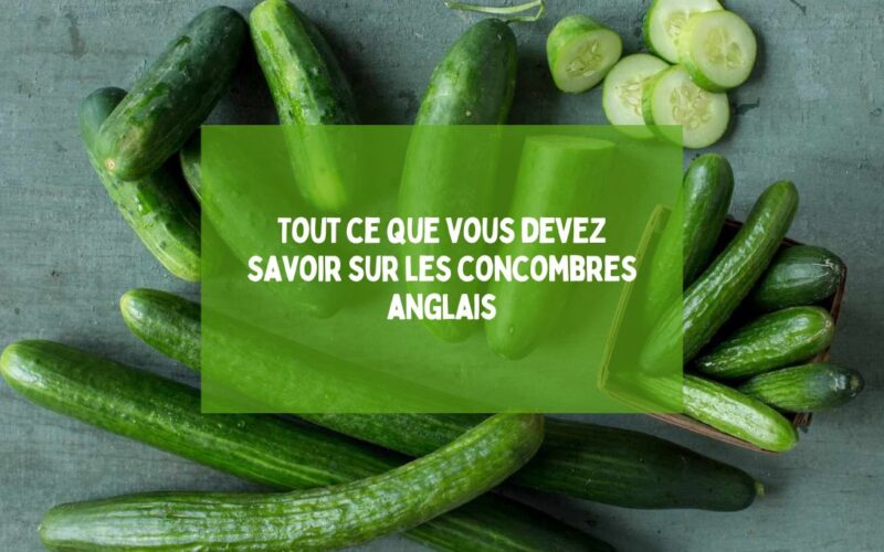 Tout ce que vous devez savoir sur les concombres anglais