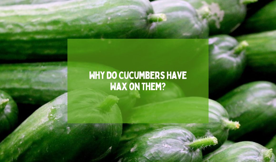 Why Are Cucumbers Waxy and Is the Wax Safe To Eat?