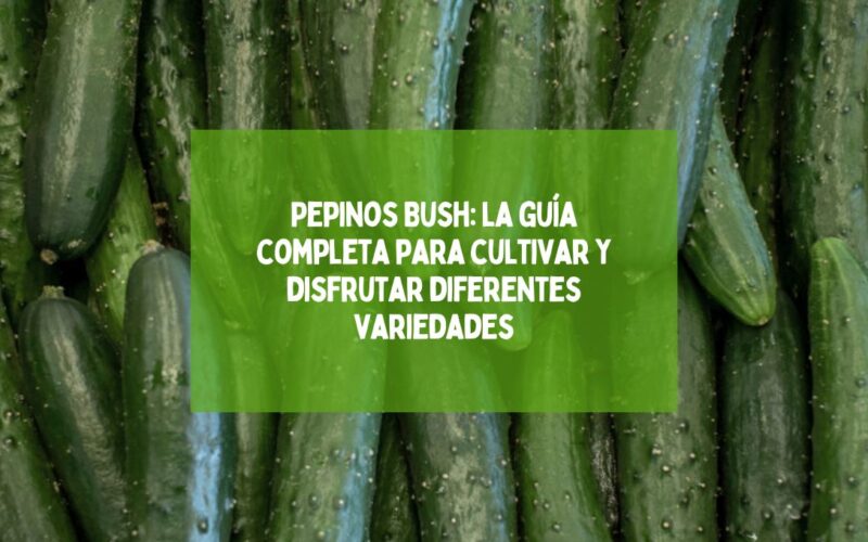 Pepinos Bush: la guía completa para cultivar y disfrutar diferentes variedades