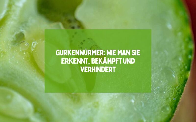 Gurkenwürmer: Wie man sie erkennt, bekämpft und verhindert