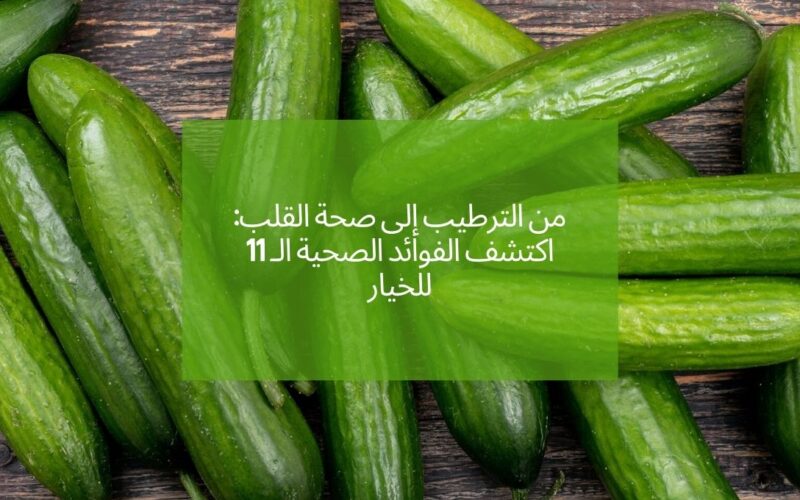 من الترطيب إلى صحة القلب: اكتشف الفوائد الصحية الـ 11 للخيار